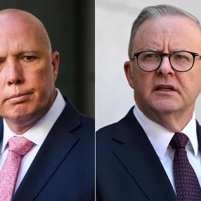 Experts debunk Liberal's inflation claim against Labor