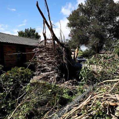 'Uninhabitable, mouldy' home prompts insurance lawsuit