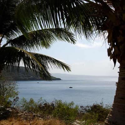 Deal to sink harmful fishing subsidies edges closer