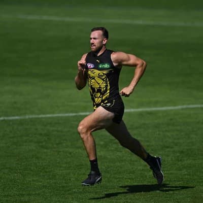 Tigers star may return three days before court sentence