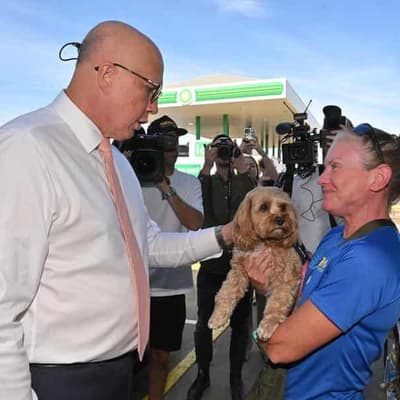 Puppies and petrol stations as Dutton keeps on trucking