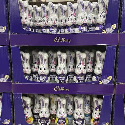 Even Easter Bunny cannot hide from high cost of living