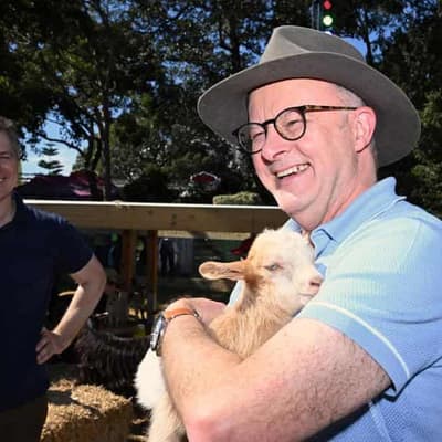 Dutton, PM butt heads at Easter show as voting nears