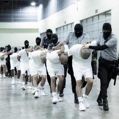 US deportees offered in swap for 'political prisoners'