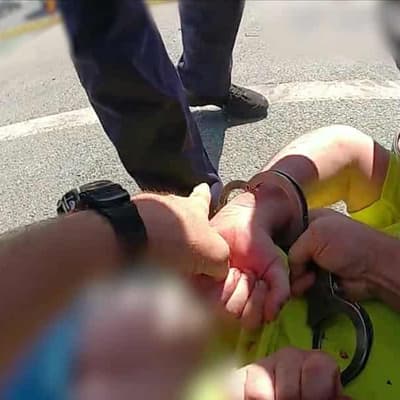 'Out of the car now': dramatic footage reveals arrest