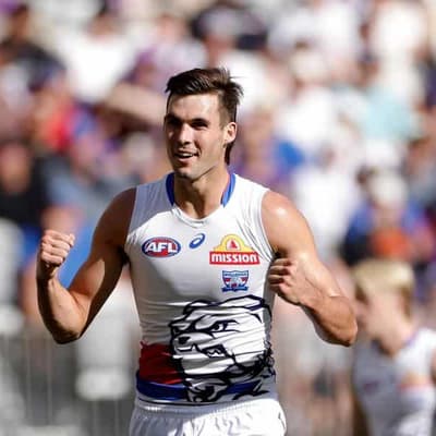 Injured Dogs star Darcy could return this season