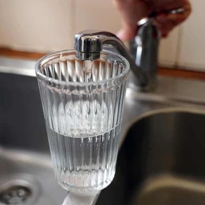 Water fasting doesn't make body remove all cancer, Alzheimer's cells