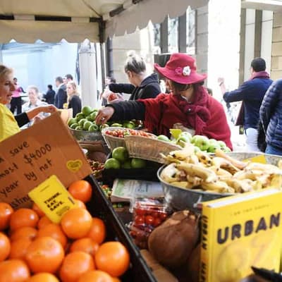 Healthy, wealthy and wise to food sustainability