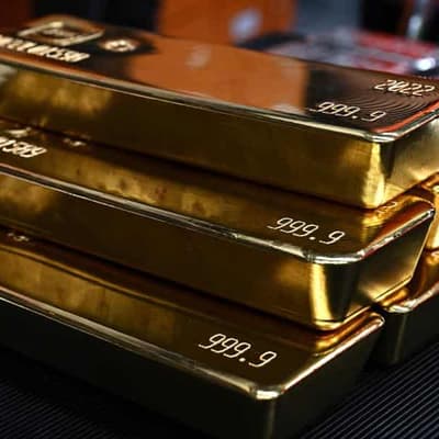 Fraud warning from 'gold squad' as price hits new high