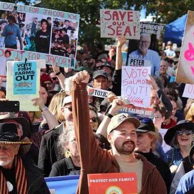 Record anti-salmon rally calls for major party sinking
