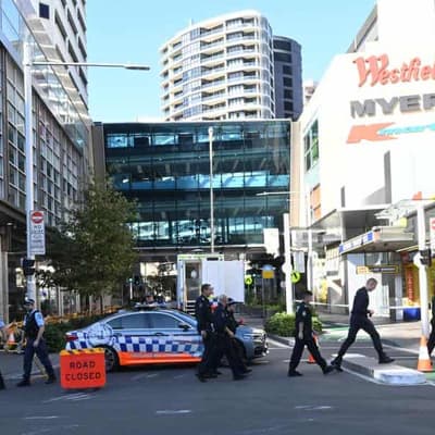 'Escape, hide, tell': terror cop's mass stabbing plea