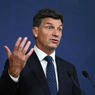 Economists slam major parties over timing of costings