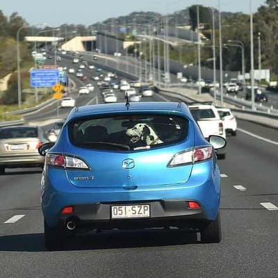 End of the road for freeze on car rego and other fees