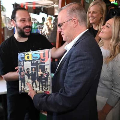 Labor to increase Senate numbers after landslide win