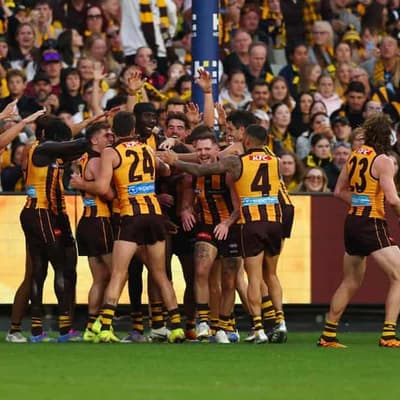 Clarko back as Hawks mark centenary with Tiger mauling