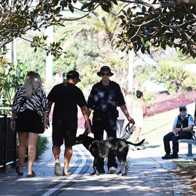 Dog's sniff prompted unlawful festival strip search