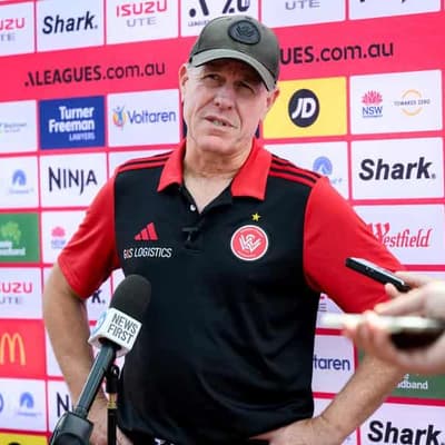 Stajcic dreams of Wanderers becoming ALM's own Penrith