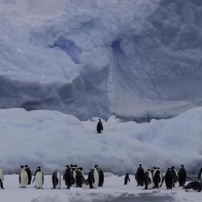 Expedition braves Antarctic for data on melting glacier