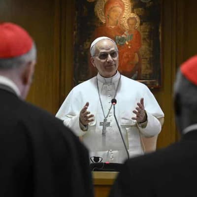 Pope Leo tells cardinals to continue legacy of Francis