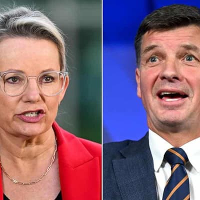 Liberals push leadership cases after election thrashing