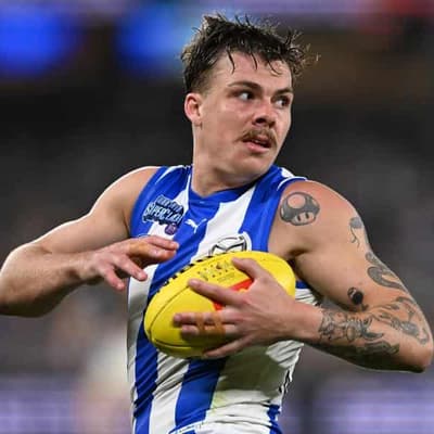 Pluck of the draw as Kangaroos share points with Lions