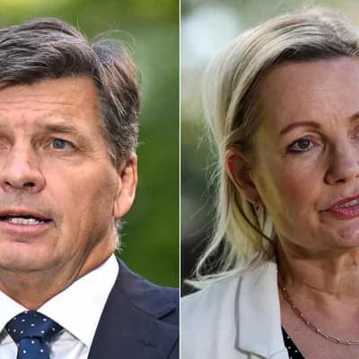 Liberals warned to ditch culture wars ahead of vote