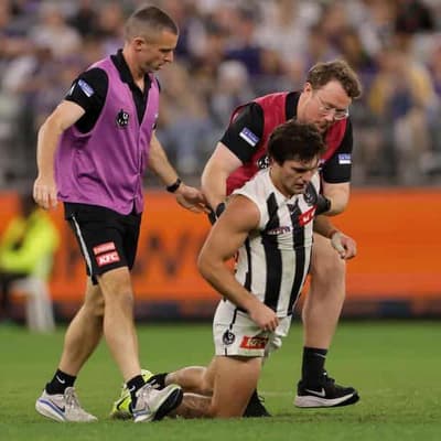 AFL admit 'failed' process in umpire debacle