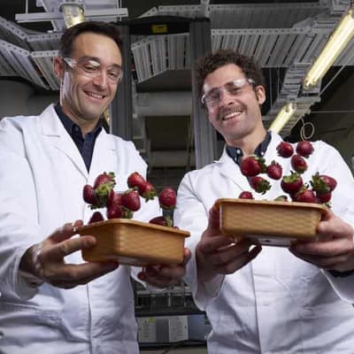 Strawberry shields forever: bioplastic cuts fruit waste