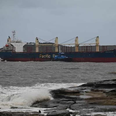 Ship's near stranding exposes emergency response flaws