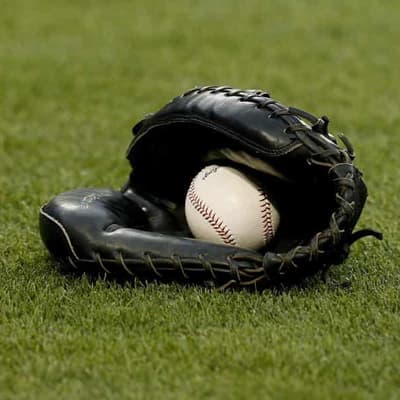 Cavalry halted in pro 'reset' for Aussie baseball