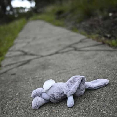 Failures of 'broken' child safety system sparks inquiry