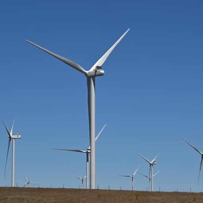 Renewables, AI rules top productivity reform wishlist