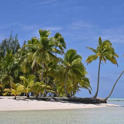 Foreign minister to blitz key Pacific island states