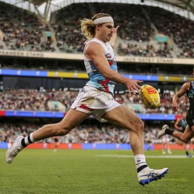 Bailey hype goes up again for massive Cats-Dogs duel