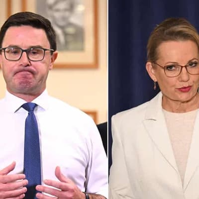 Liberals and Nationals ready to fall back in love