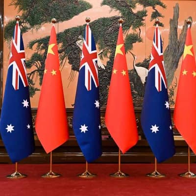 Australian firms 'upbeat' China can navigate trade war