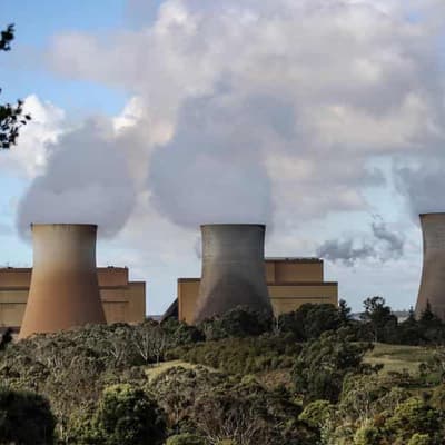 Why the carbon offset 'swear jar' needs an overhaul