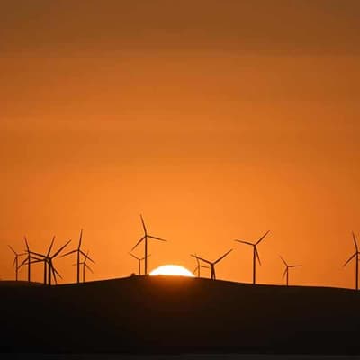 Clean energy, environment unity ticket on nature laws