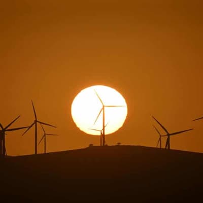 ESG inventor says Trump its 'best possible advert'