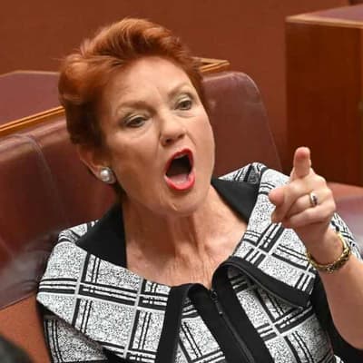 One Nation boosts parliamentary ranks with new senator