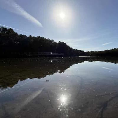'Salty soup': climate threat to vital lagoon ecosystems