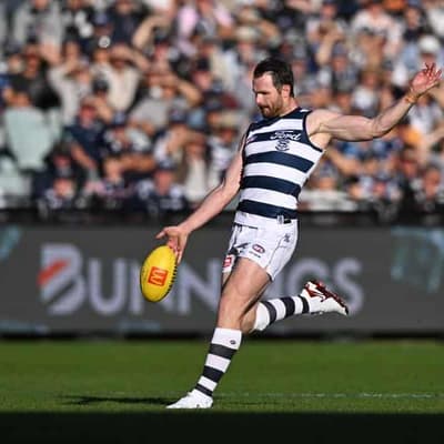 Cats set to welcome back star veteran for Suns showdown