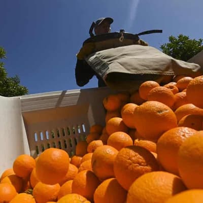 Supermarket giant acts on 'appalling' worker conditions