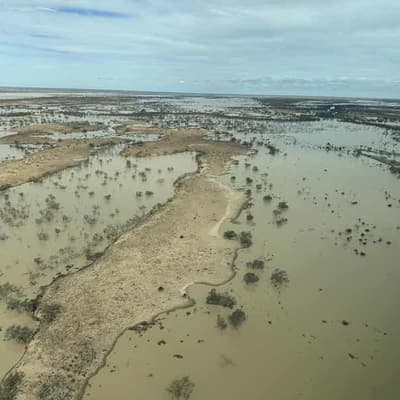 Lake flood spectacle a magnet for wildlife, tourists