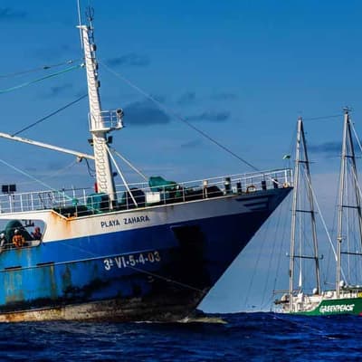 Reeled in: activists battle industrial fishing off Aust