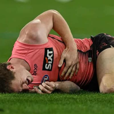 Cats back Stewart after bump sends Anderson to hospital