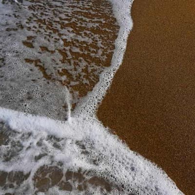 Go bold: calls for Australia to lead on ocean health