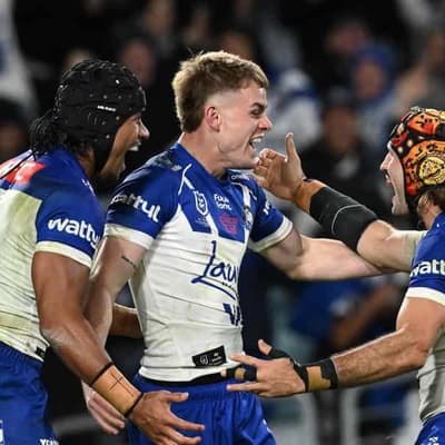 Dogs show they see Galvin as half after joyous arrival