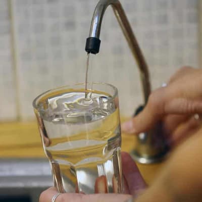 Public lacks facts on 'forever' chemicals: inquiry