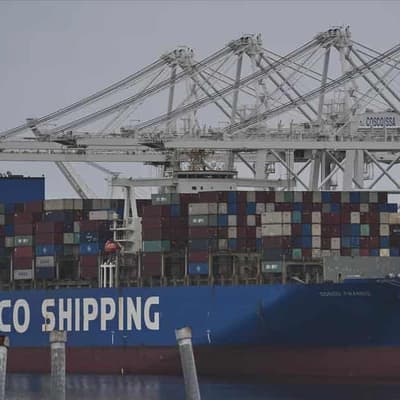 Tariff turmoil - World Bank cuts global growth forecast